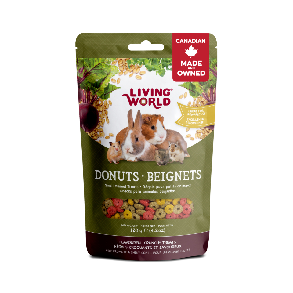 Rabbit Treat/Food Image